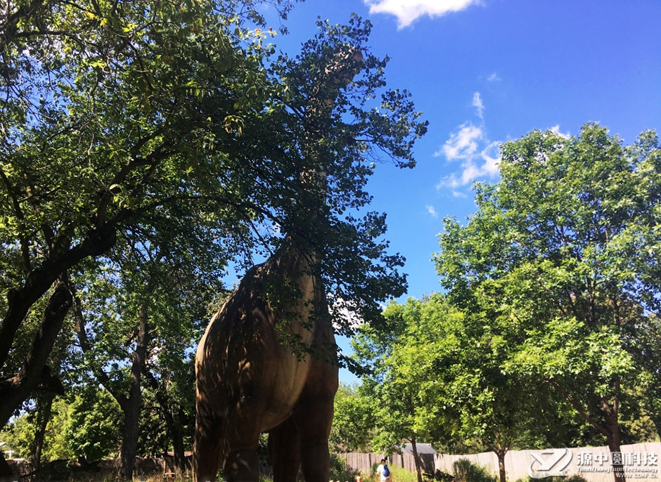 仿真恐龍模型可以裝飾公園